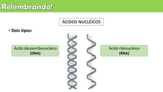 ÁCIDOS NUCLÉICOS
• Dois tipos:
Ácido ribonucleico
(RNA)
Ácido desoxirribonucleico
(DNA)
 