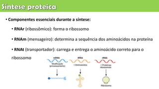 • Componentes essenciais durante a síntese:
• RNAr (ribossômico): forma o ribossomo
• RNAm (mensageiro): determina a sequência dos aminoácidos na proteína
• RNAt (transportador): carrega e entrega o aminoácido correto para o
ribossomo
 