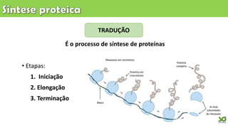 • Etapas:
1. Iniciação
2. Elongação
3. Terminação
TRADUÇÃO
É o processo de síntese de proteínas
 