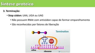 3. Terminação:
• Stop códon: UAA, UGA ou UAG
• Não possuem RNAt com anticódon capaz de formar emparelhamento
• São reconhecidos por fatores de liberação
 
