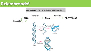 DOGMA CENTRAL DA BIOLOGIA MOLECULAR
DNA RNA PROTEÍNAS
Transcrição Tradução
Replicação
 