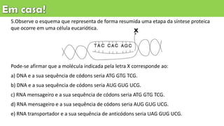 5.Observe o esquema que representa de forma resumida uma etapa da síntese proteica
que ocorre em uma célula eucariótica.
Pode-se afirmar que a molécula indicada pela letra X corresponde ao:
a) DNA e a sua sequência de códons seria ATG GTG TCG.
b) DNA e a sua sequência de códons seria AUG GUG UCG.
c) RNA mensageiro e a sua sequência de códons seria ATG GTG TCG.
d) RNA mensageiro e a sua sequência de códons seria AUG GUG UCG.
e) RNA transportador e a sua sequência de anticódons seria UAG GUG UCG.
 
