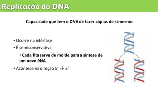 Capacidade que tem o DNA de fazer cópias de si mesmo
• Ocorre na intérfase
• É semiconservativa
• Cada fita serve de molde para a síntese de
um novo DNA
• Acontece na direção 5’  3’
 
