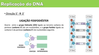 • Direção 5’  3’
Ocorre entre o grupo hidroxila (OH) ligado ao terceiro carbono da
pentose (carbono 3’) de um nucleotídeo, e o grupo fosfato ligado ao
carbono 5 da pentose (carbono 5’) do nucleotídeo seguinte.
PENTOSE
ÁCIDO
FOSFÓRICO
BASE
NITROGENADA
LIGAÇÃO FOSFODIÉSTER
3’
5’
5’
3’
 