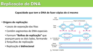 Capacidade que tem o DNA de fazer cópias de si mesmo
• Origens de replicação:
• Locais de separação das fitas
• Contêm segmentos de DNA especiais
• Formam “Bolhas de replicação” que
avançam para os dois lados, formando
2 forquilhas de replicação
• Replicação é bidirecional
 