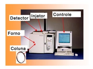 Coluna
Forno
Detector
Injetor Controle
 