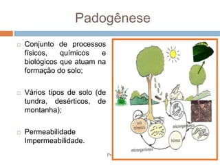 Padogênese
 Conjunto de processos
físicos, químicos e
biológicos que atuam na
formação do solo;
 Vários tipos de solo (de
tundra, desérticos, de
montanha);
 Permeabilidade
Impermeabilidade.
Prof. Paulo Dantas
 