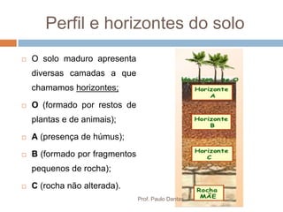 Perfil e horizontes do solo
 O solo maduro apresenta
diversas camadas a que
chamamos horizontes;
 O (formado por restos de
plantas e de animais);
 A (presença de húmus);
 B (formado por fragmentos
pequenos de rocha);
 C (rocha não alterada).
Prof. Paulo Dantas
 