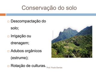 Conservação do solo
 Descompactação do
solo;
 Irrigação ou
drenagem;
 Adubos orgânicos
(estrume);
 Rotação de culturas.Prof. Paulo Dantas
 