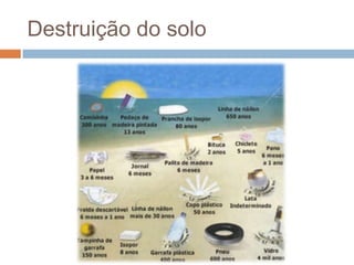 Destruição do solo
Prof. Paulo Dantas
 