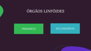 ÓRGĀOS LINFÓIDES
PRIMÁRIOS SECUNDÁRIOS
 