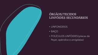 ÓRGÃOS/TECIDOS
LINFÓIDES SECUNDÁRIOS
 
