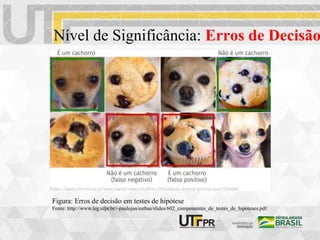 Nível de Significância: Erros de Decisão
Figura: Erros de decisão em testes de hipótese
Fonte: http://www.leg.ufpr.br/~paulojus/estbas/slides/602_componentes_de_testes_de_hipoteses.pdf
 