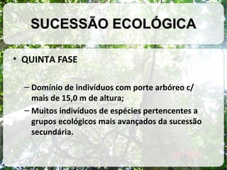 SUCESSÃO ECOLÓGICA
• QUINTA FASE
– Domínio de indivíduos com porte arbóreo c/
mais de 15,0 m de altura;
– Muitos indivíduos de espécies pertencentes a
grupos ecológicos mais avançados da sucessão
secundária.

 