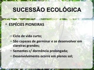 SUCESSÃO ECOLÓGICA
• ESPÉCIES PIONEIRAS
– Ciclo de vida curto;
– São capazes de germinar e se desenvolver em
clareiras grandes;
– Sementes c/ dormência prolongada;
– Desenvolvimento ocorre em plenos sol;

 