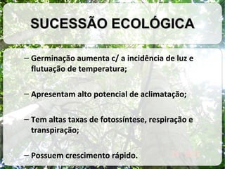 SUCESSÃO ECOLÓGICA
– Germinação aumenta c/ a incidência de luz e
flutuação de temperatura;
– Apresentam alto potencial de aclimatação;
– Tem altas taxas de fotossíntese, respiração e
transpiração;
– Possuem crescimento rápido.

 