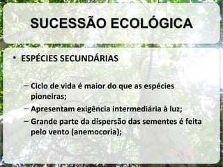 SUCESSÃO ECOLÓGICA
• ESPÉCIES SECUNDÁRIAS
– Ciclo de vida é maior do que as espécies
pioneiras;
– Apresentam exigência intermediária à luz;
– Grande parte da dispersão das sementes é feita
pelo vento (anemocoria);

 