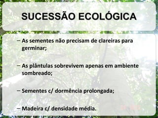 SUCESSÃO ECOLÓGICA
– As sementes não precisam de clareiras para
germinar;
– As plântulas sobrevivem apenas em ambiente
sombreado;
– Sementes c/ dormência prolongada;
– Madeira c/ densidade média.

 