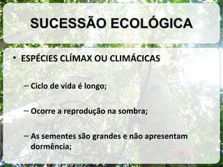 SUCESSÃO ECOLÓGICA
• ESPÉCIES CLÍMAX OU CLIMÁCICAS
– Ciclo de vida é longo;
– Ocorre a reprodução na sombra;
– As sementes são grandes e não apresentam
dormência;

 