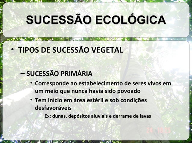 tipos de sucessao ecologica | PPT