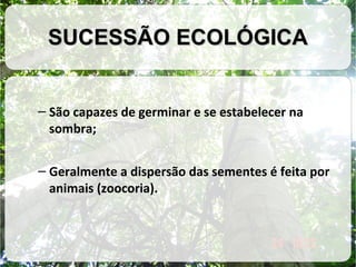 SUCESSÃO ECOLÓGICA
– São capazes de germinar e se estabelecer na
sombra;
– Geralmente a dispersão das sementes é feita por
animais (zoocoria).

 