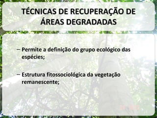 TÉCNICAS DE RECUPERAÇÃO DE
ÁREAS DEGRADADAS
– Permite a definição do grupo ecológico das
espécies;
– Estrutura fitossociológica da vegetação
remanescente;

 