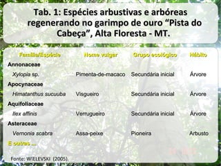 Tab. 1: Espécies arbustivas e arbóreas
regenerando no garimpo de ouro “Pista do
Cabeça”, Alta Floresta - MT.
Família/Espécie

Nome vulgar

Grupo ecológico

Hábito

Annonaceae
Xylopia sp.

Pimenta-de-macaco

Secundária inicial

Árvore

Visgueiro

Secundária inicial

Árvore

Verrugueiro

Secundária inicial

Árvore

Assa-peixe

Pioneira

Arbusto

Apocynaceae
Himatanthus sucuuba
Aquifoliaceae
Ilex affinis
Asteraceae
Vernonia scabra
E outras ...
Fonte: WIELEVSKI (2005).

 