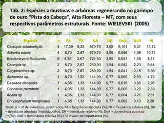 Tab. 2: Espécies arbustivas e arbóreas regenerando no garimpo
de ouro “Pista do Cabeça”, Alta Floresta – MT, com seus
respectivos parâmetros estruturais. Fonte: WIELEVSKI (2005)
Espécie

n

FA

FR

DA

DR

DoA

DoR

VI

Cecropia sciadophylla

4

17,39

5,33

579,70

3,08

0,101

5,31

13,72

Alibertia edulis

4

8,70

2,67

579,70

3,08

0,095

4,96

10,71

Bredemeyera floribunda

5

4,35

2,67

724,60

3,85

0,031

1,65

8,17

Cecropia sp.

2

8,70

2,67

289,90

1,54

0,042

2,23

6,44

Calyptranthes sp.

2

8,70

2,67

289,90

1,54

0,041

2,15

6,36

Alchornea sp.

1

8,70

1,33

144,90

0,77

0,050

2,63

4,73

Casearia decandra

1

4,35

1,33

144,90

0,77

0,016

0,86

2,96

Connarus perrottetti

1

4,35

1,33

144,90

0,77

0,005

0,29

2,39

Andira sp

1

4,35

1,33

144,90

0,77

0,004

0,21

2,31

Chrysophyllum marginatus

1

4,35

1,33

144,90

0,77

0,002

0,10

2,20

Onde: n = nº de indivíduos amostrados, FA = freqüência absoluta (%), FR = freqüência relativa (%), DA
= densidade absoluta (indivíduos/ha), DR = densidade relativa (%), DoA = dominância absoluta
(m/ha), DoR = dominância relativa (%) e VI = valor de importância (%).

 