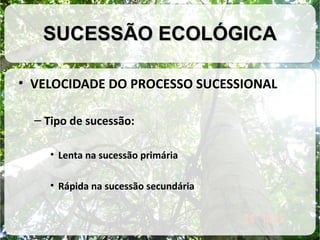 SUCESSÃO ECOLÓGICA
• VELOCIDADE DO PROCESSO SUCESSIONAL
– Tipo de sucessão:
• Lenta na sucessão primária
• Rápida na sucessão secundária

 