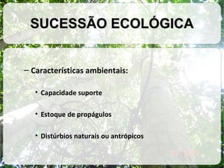 SUCESSÃO ECOLÓGICA
– Características ambientais:
• Capacidade suporte
• Estoque de propágulos
• Distúrbios naturais ou antrópicos

 