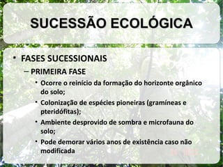SUCESSÃO ECOLÓGICA
• FASES SUCESSIONAIS
– PRIMEIRA FASE
• Ocorre o reinício da formação do horizonte orgânico
do solo;
• Colonização de espécies pioneiras (gramíneas e
pteridófitas);
• Ambiente desprovido de sombra e microfauna do
solo;
• Pode demorar vários anos de existência caso não
modificada

 