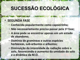 SUCESSÃO ECOLÓGICA
• SEGUNDA FASE
– Conhecida popularmente como capoeirinha;
– Não necessariamente precisa passar pela 1ª fase;
– A área pode se encontrar apenas em um estado
de abandono;
– Domínio de gramíneas e outras espécies
herbáceas, sub-arbustos e arbustos;
– Diminuição da intensidade de radiação sobre o
solo, favorecendo o aumento da umidade do solo
e a dinâmica da M.O.

 