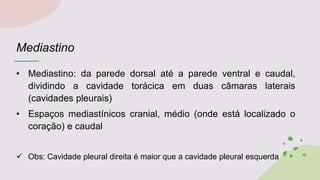 Mediastino
• Mediastino: da parede dorsal até a parede ventral e caudal,
dividindo a cavidade torácica em duas câmaras laterais
(cavidades pleurais)
• Espaços mediastínicos cranial, médio (onde está localizado o
coração) e caudal
 Obs: Cavidade pleural direita é maior que a cavidade pleural esquerda
 