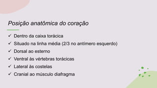 Posição anatômica do coração
 Dentro da caixa torácica
 Situado na linha média (2/3 no antímero esquerdo)
 Dorsal ao esterno
 Ventral às vértebras torácicas
 Lateral às costelas
 Cranial ao músculo diafragma
 