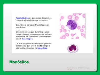Magda Charrua  2010/2011 Biologia 12º ano  Monócitos 
