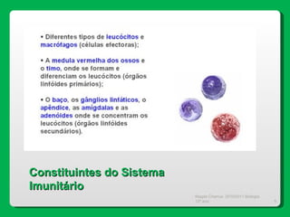 Magda Charrua  2010/2011 Biologia 12º ano  Constituintes do Sistema Imunitário 