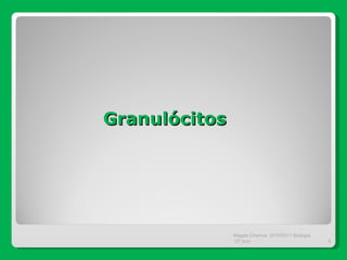 Granulócitos Magda Charrua  2010/2011 Biologia 12º ano  