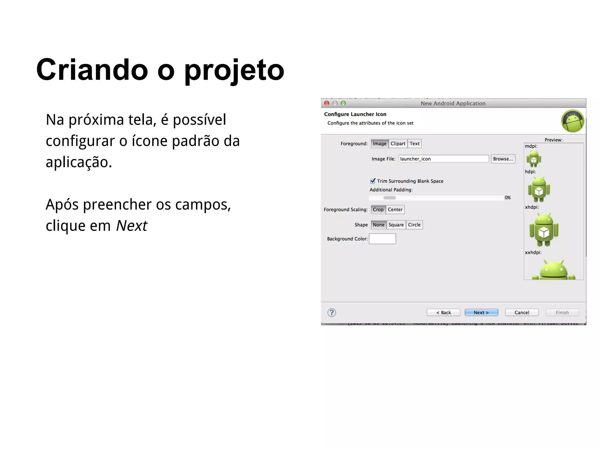 Criando o projeto
Na próxima tela, é possível
configurar o ícone padrão da
aplicação.
Após preencher os campos,
clique em Next
 