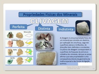 Magda Charrua BG II 2010/2011  COLÉGIO DA LAPA 