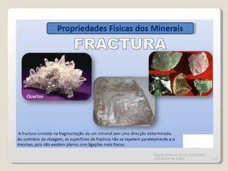 Magda Charrua BG II 2010/2011  COLÉGIO DA LAPA 