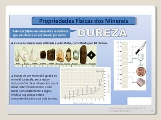 Magda Charrua BG II 2010/2011  COLÉGIO DA LAPA 