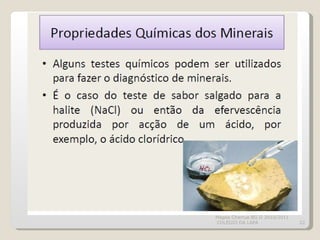 Magda Charrua BG II 2010/2011  COLÉGIO DA LAPA 