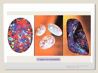 Magda Charrua BG II 2010/2011  COLÉGIO DA LAPA 