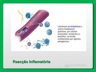 Magda Charrua  2010/2011 Biologia 12º ano  Reacção Inflamatória 