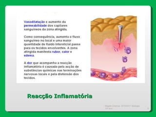 Reacção Inflamatória Magda Charrua  2010/2011 Biologia 12º ano  