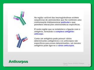 Magda Charrua  2010/2011 Biologia 12º ano  Anticorpos 
