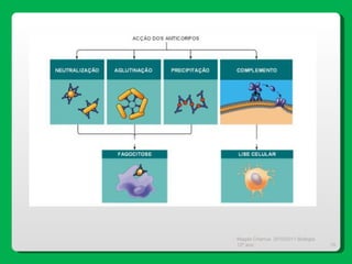 Magda Charrua  2010/2011 Biologia 12º ano  
