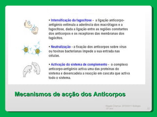Magda Charrua  2010/2011 Biologia 12º ano  Mecanismos de acção dos Anticorpos 