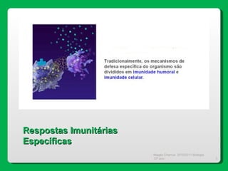 Magda Charrua  2010/2011 Biologia 12º ano  Respostas Imunitárias Específicas 