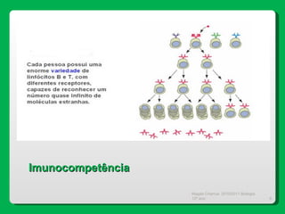Magda Charrua  2010/2011 Biologia 12º ano  Imunocompetência 